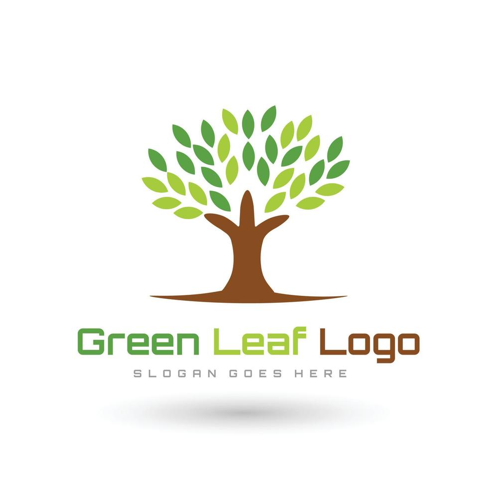 Best Monogram  Logo Design vector