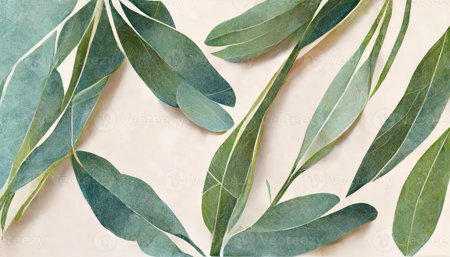 Eucalyptus leaves border, Watercolor illustration isolated on white, Greenery clipart for wedding. photo