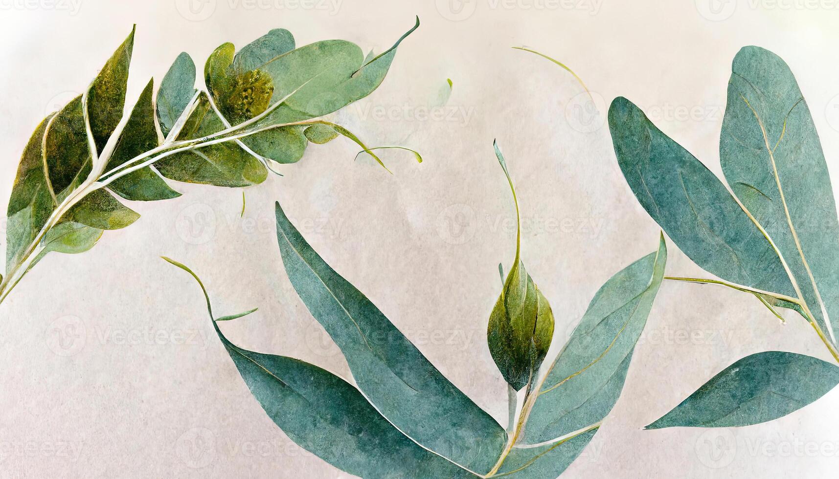 Awesome Eucalyptus leaves border, Watercolor illustration isolated on white, Greenery clipart for wedding. photo