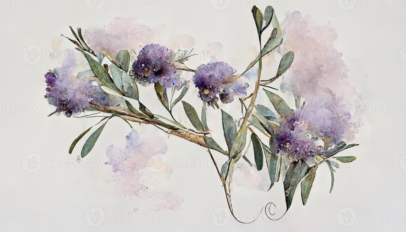 Amazing Lavender flowers and eucalyptus branches isolated on white, Floral wreath, Watercolor illustration. photo