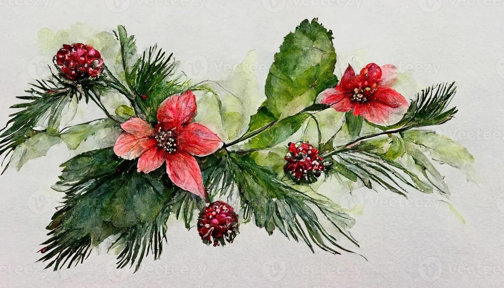 Watercolor Christmas floral bouquet, Hand drawn botanical winter plants, Poinsettia flower. photo