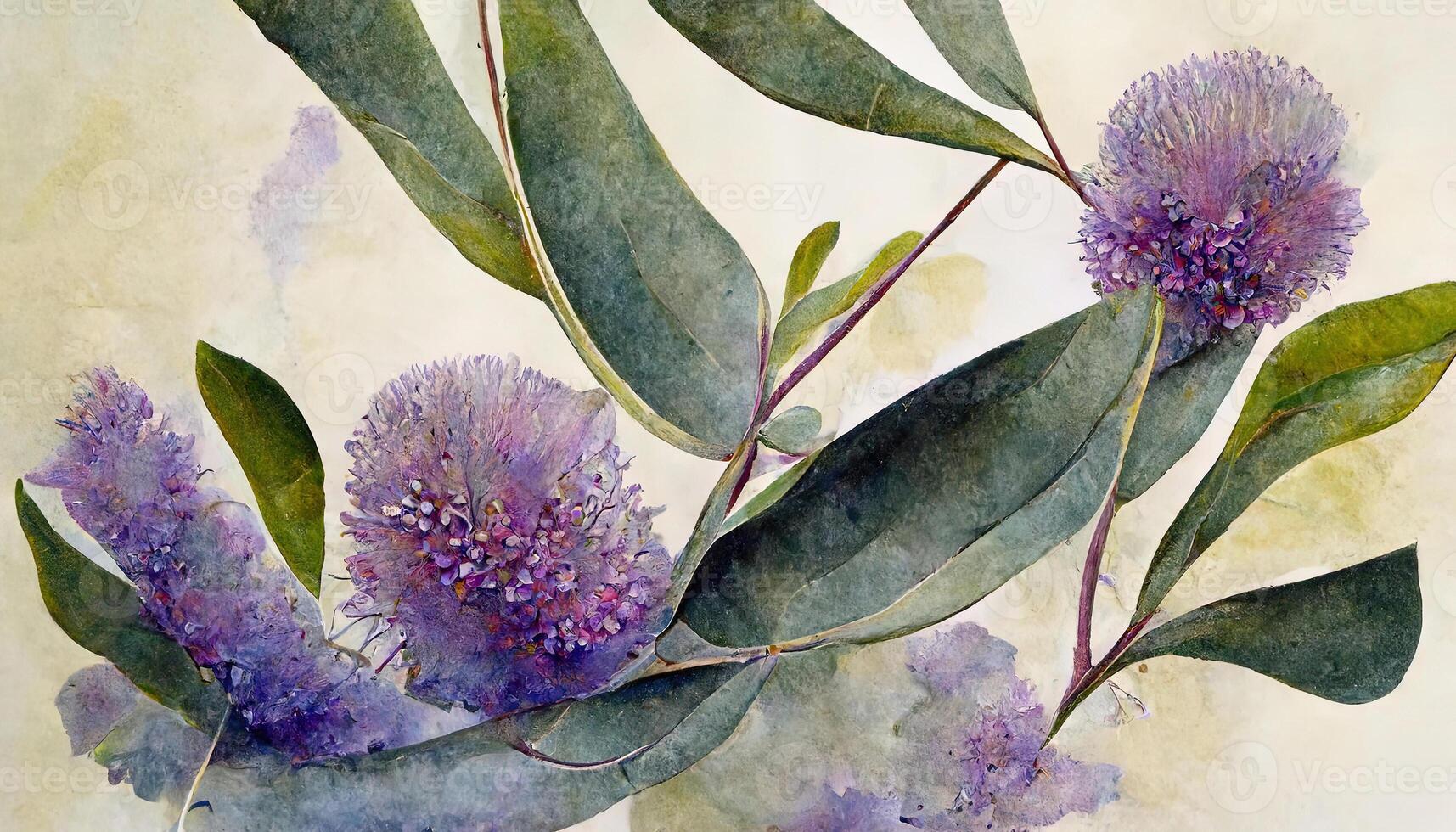 Watercolor eucalyptus leaves and purple lavender flower, Botanical frame, Greenery branches. photo