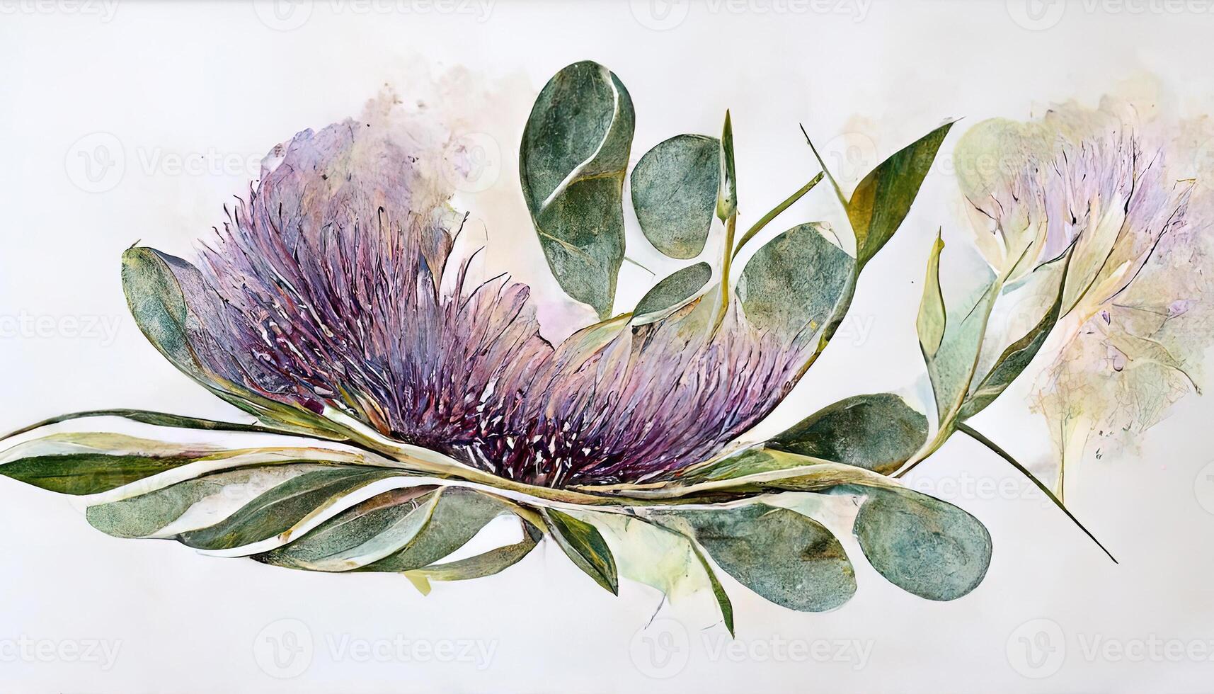 Lavender eucalyptus leaves, sage, and olive branches make up this flower frame from a digital watercolor. photo