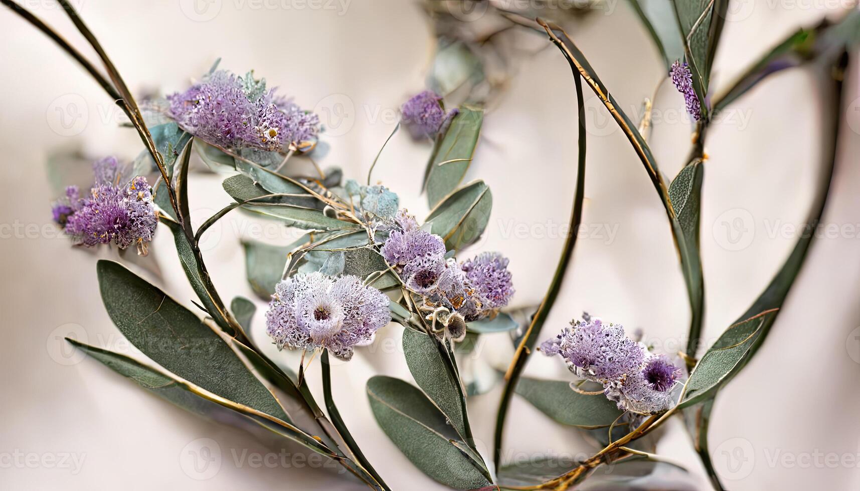 Surprising Lavender flowers and eucalyptus branches isolated on white, Floral wreath. photo