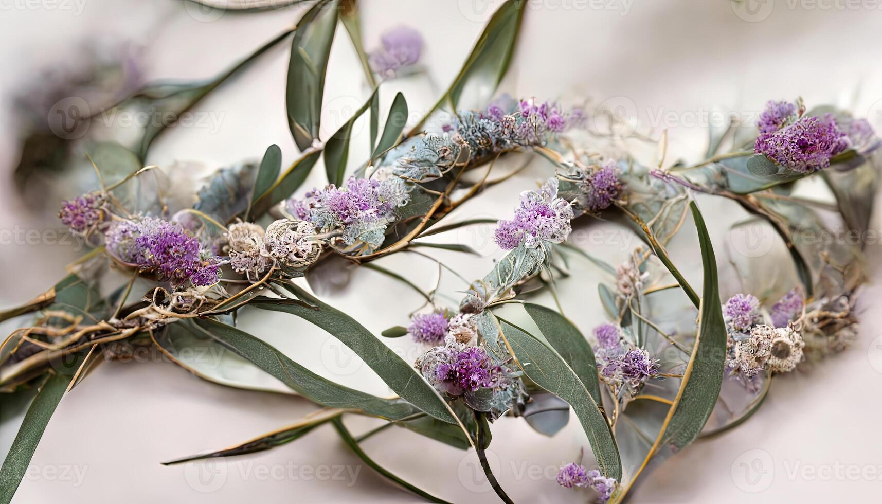 Wonderful Lavender flowers and eucalyptus branches isolated on white, Floral wreath. photo