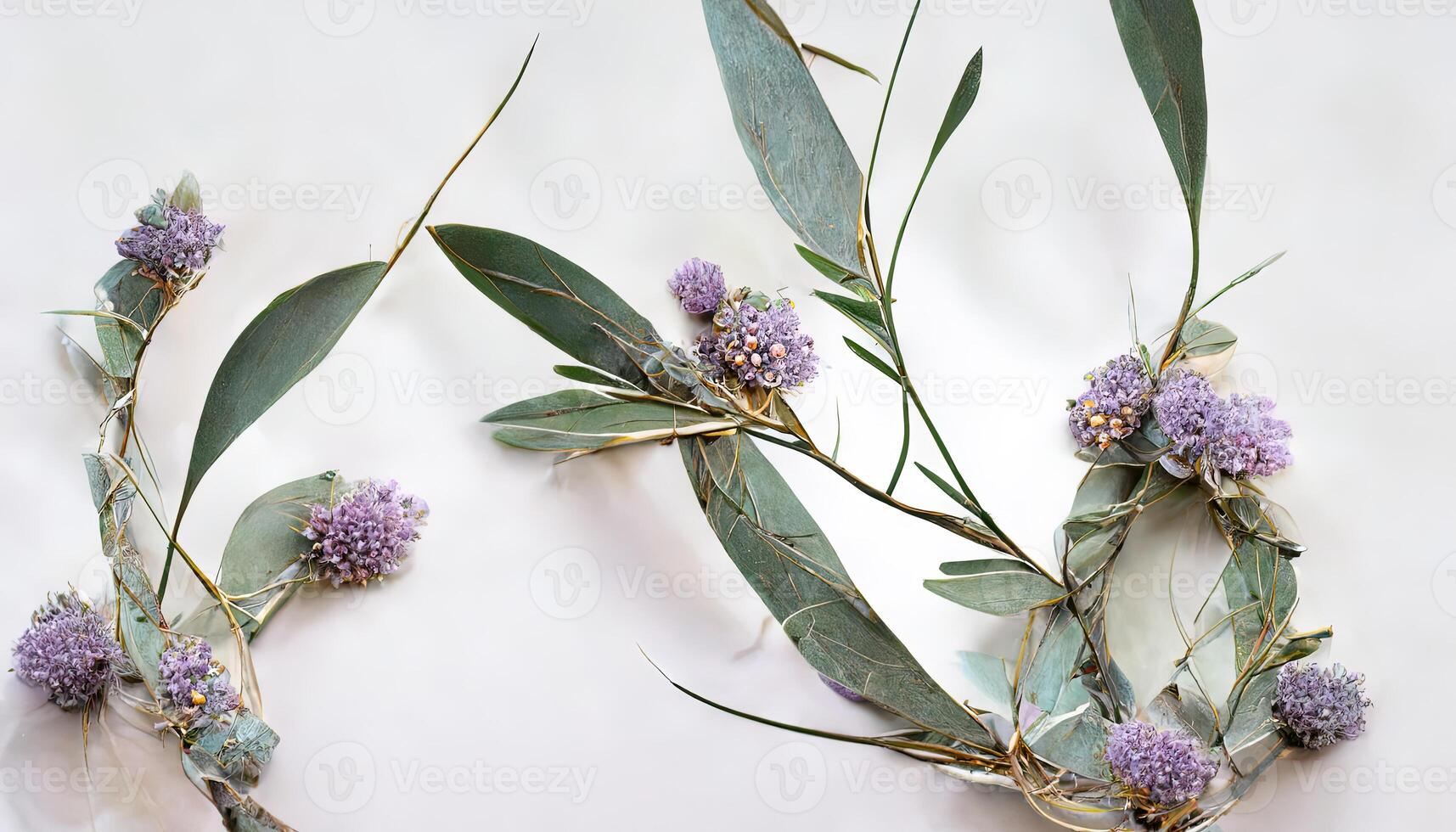 Lavender flowers and eucalyptus branches isolated on white, Floral wreath. photo