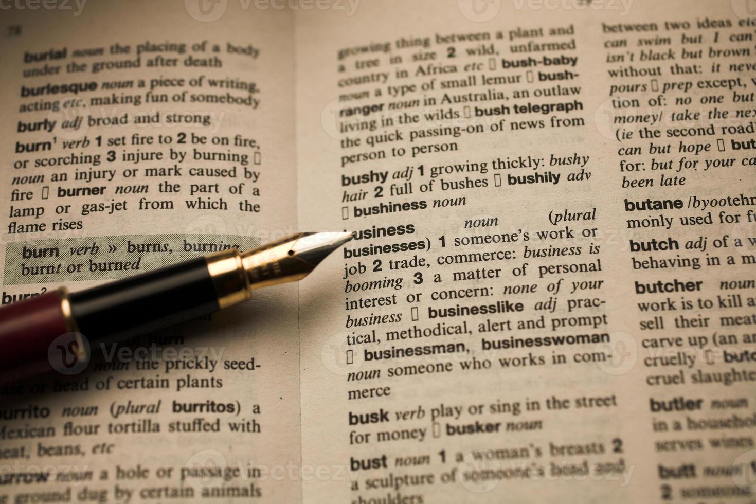 business fountain pen on a dictionary photo