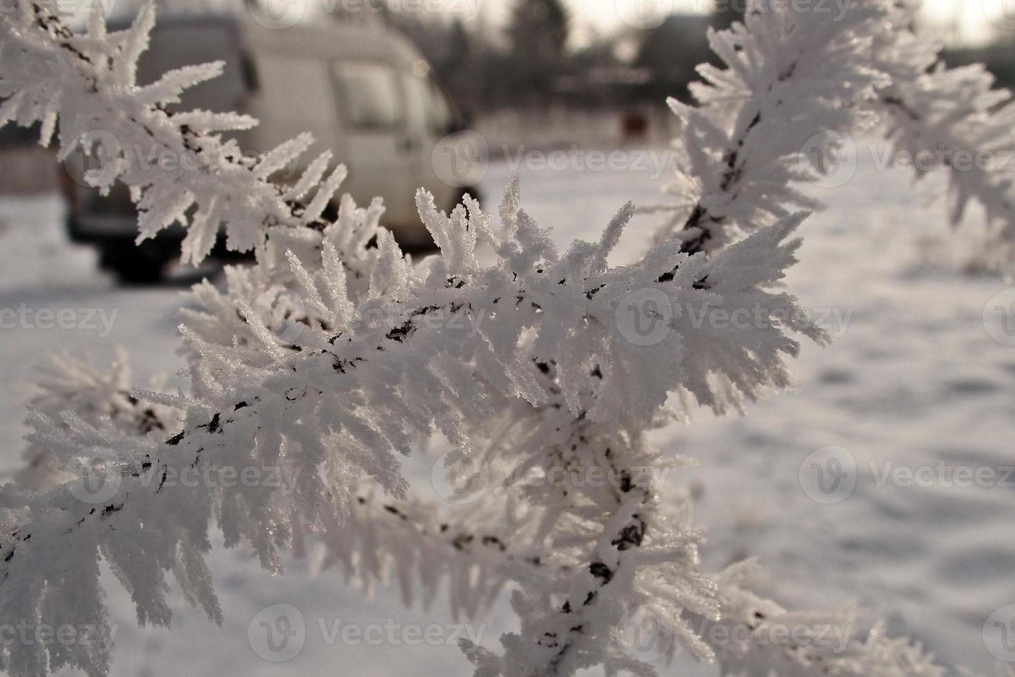 winter black fence decorated with white hoarfrost on a January morning photo