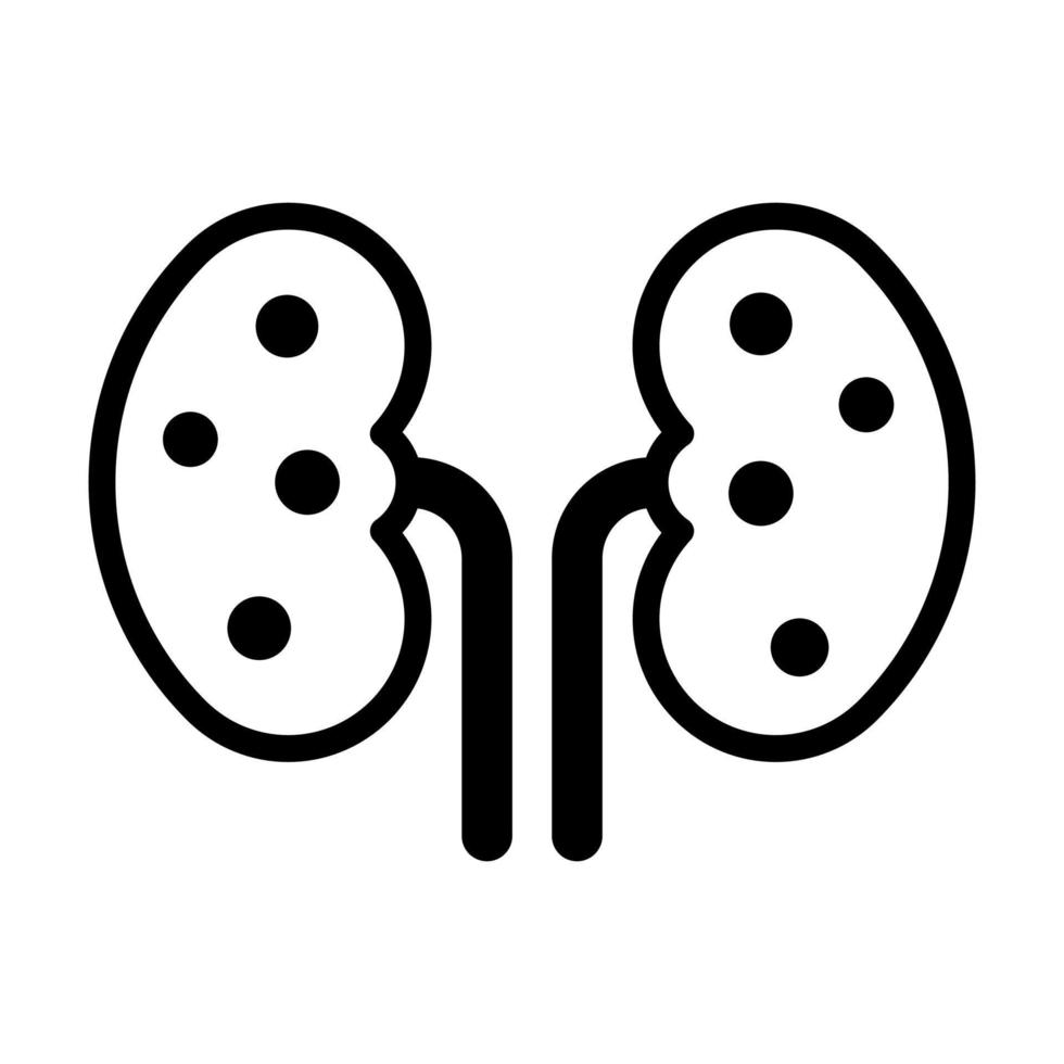 Kidney vector modern design, an human organ icon