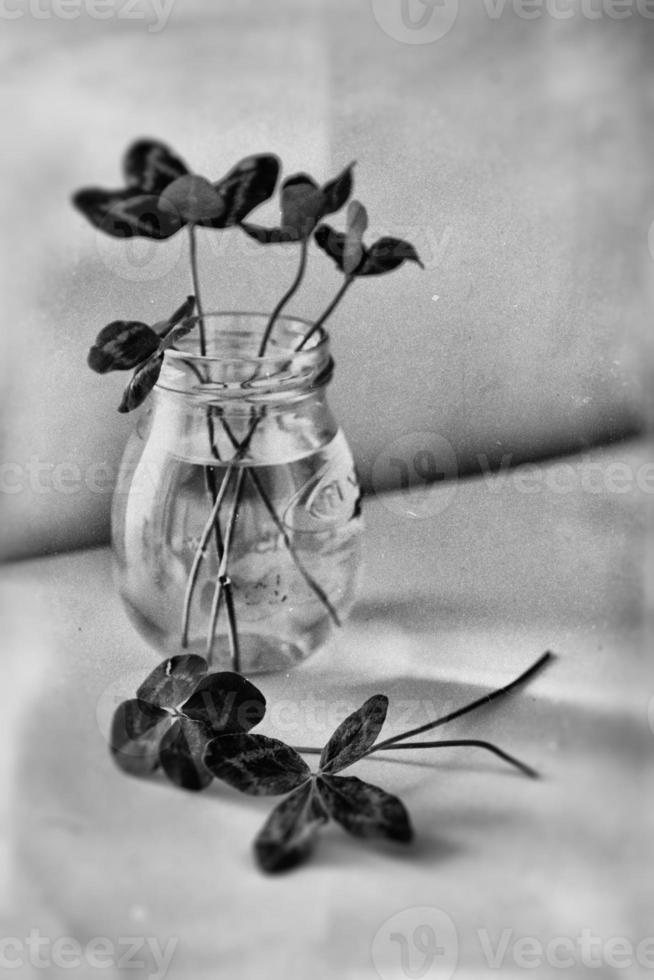 un ramo de flores de l campo cuatro hojas tréboles en un pequeño florero en un ligero suave antecedentes foto