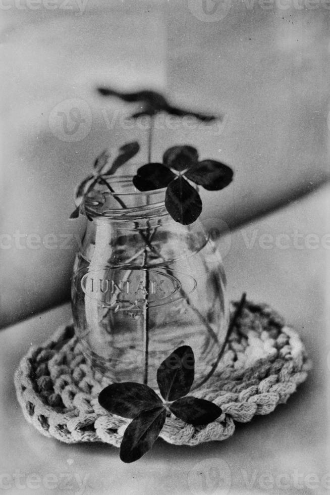 a bouquet of l field four-leaf clovers in a small vase on a light smooth background photo