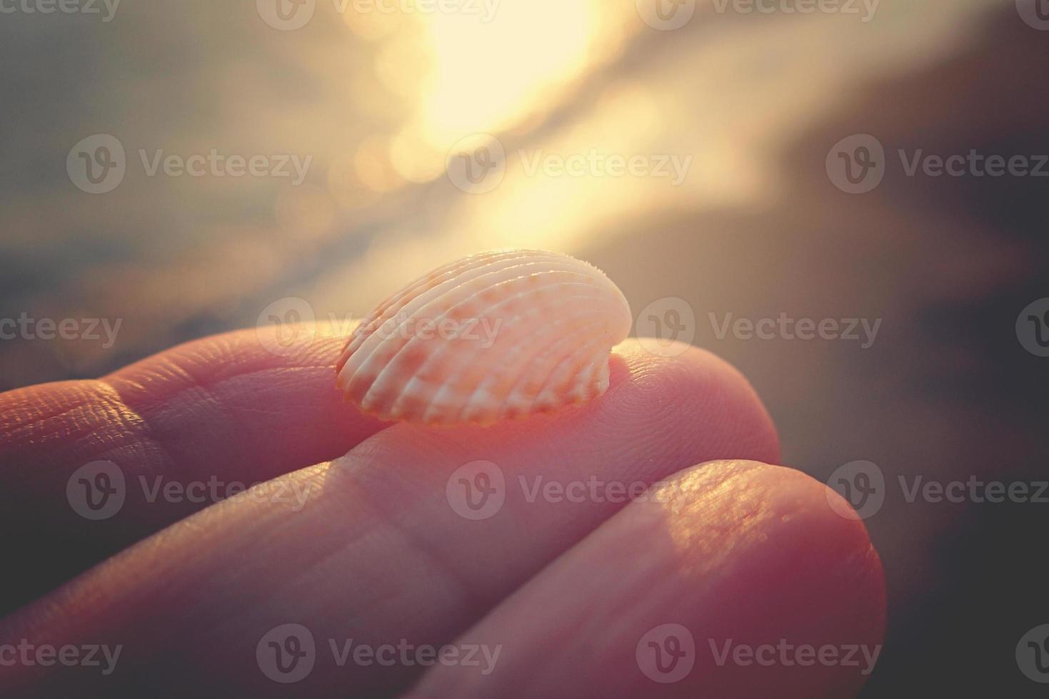 blanco cáscara en el dedos de el manos en contra el antecedentes de el mar durante puesta de sol foto