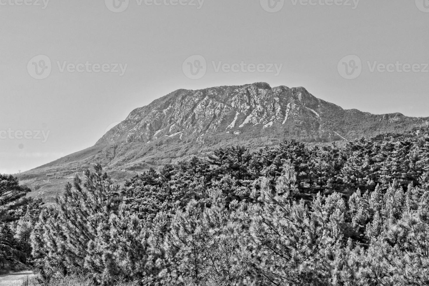 beautiful view of the Turkish mountains covered with green forest on a summer day, photo