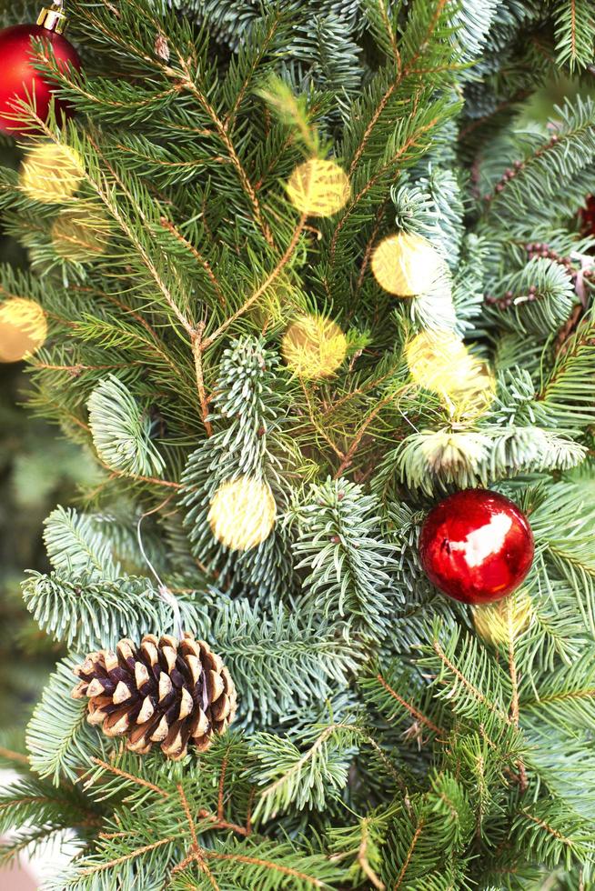Christmas card. Christmas tree. Decoration. photo