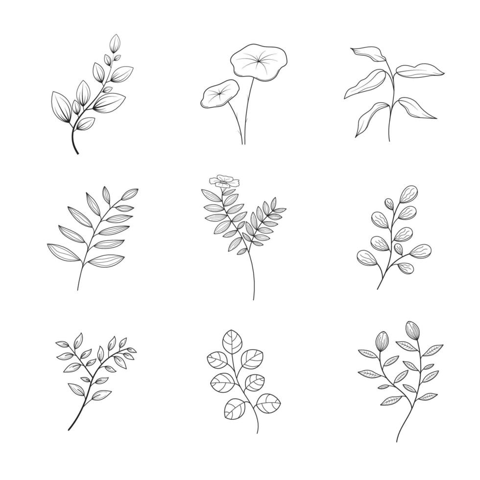 Minimalist flowers and botanic collection. Hand drawn floral branch, leaves herbs and wild plants set in line style. For decoration, wedding and invitation card, design project vector