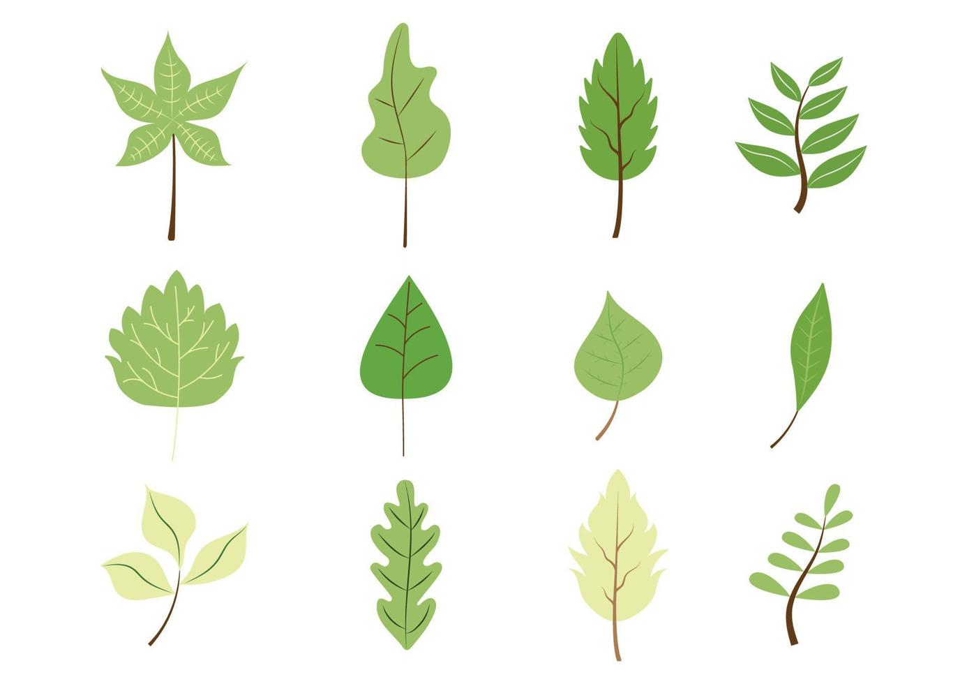 Green leaves flat set vector