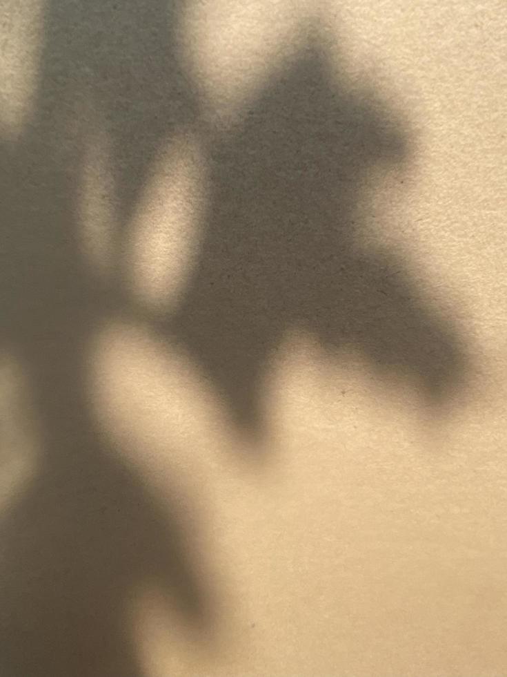 Leaves shadow background on concrete wall texture, leaves tree branches shade photo