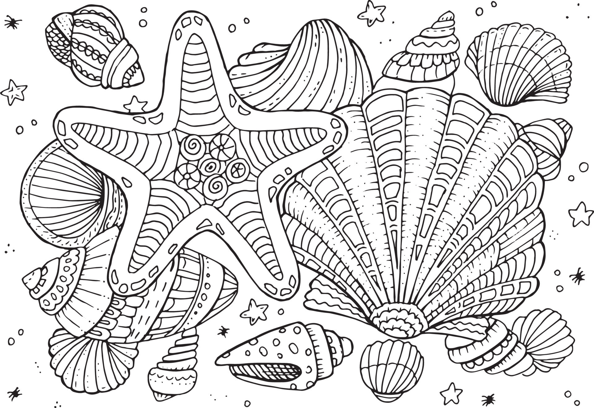 Hand drawn coloring page for kids and adults. Summer beach, sea shells