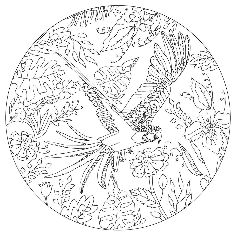 Hand drawn round shape coloring page for kids and adults. Coloring book with parrot and tropical leaves. Beautiful drawings with patterns and small details. Vector