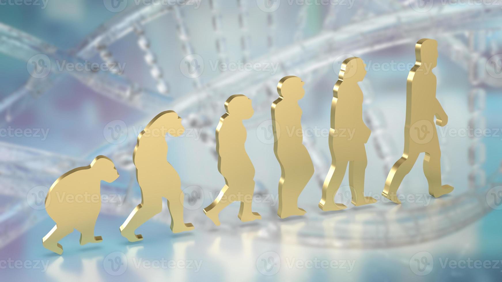 The human evolution image for education or sci concept 3d rendering photo