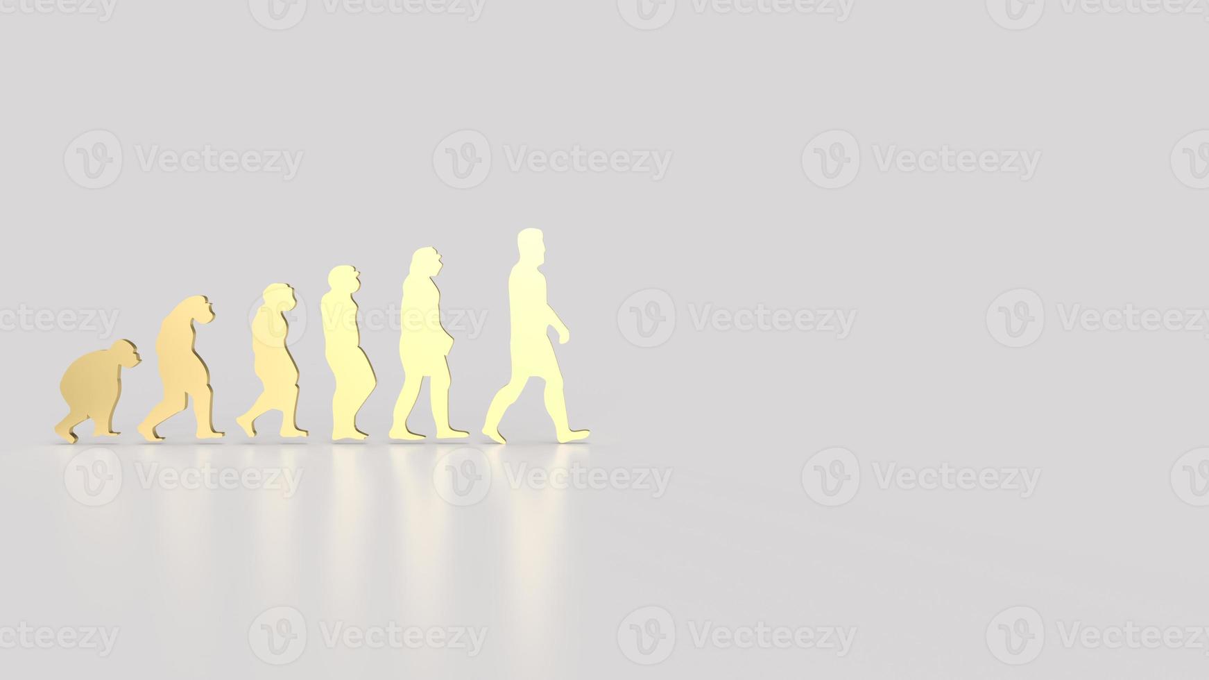 The human evolution image for education or sci concept 3d rendering photo