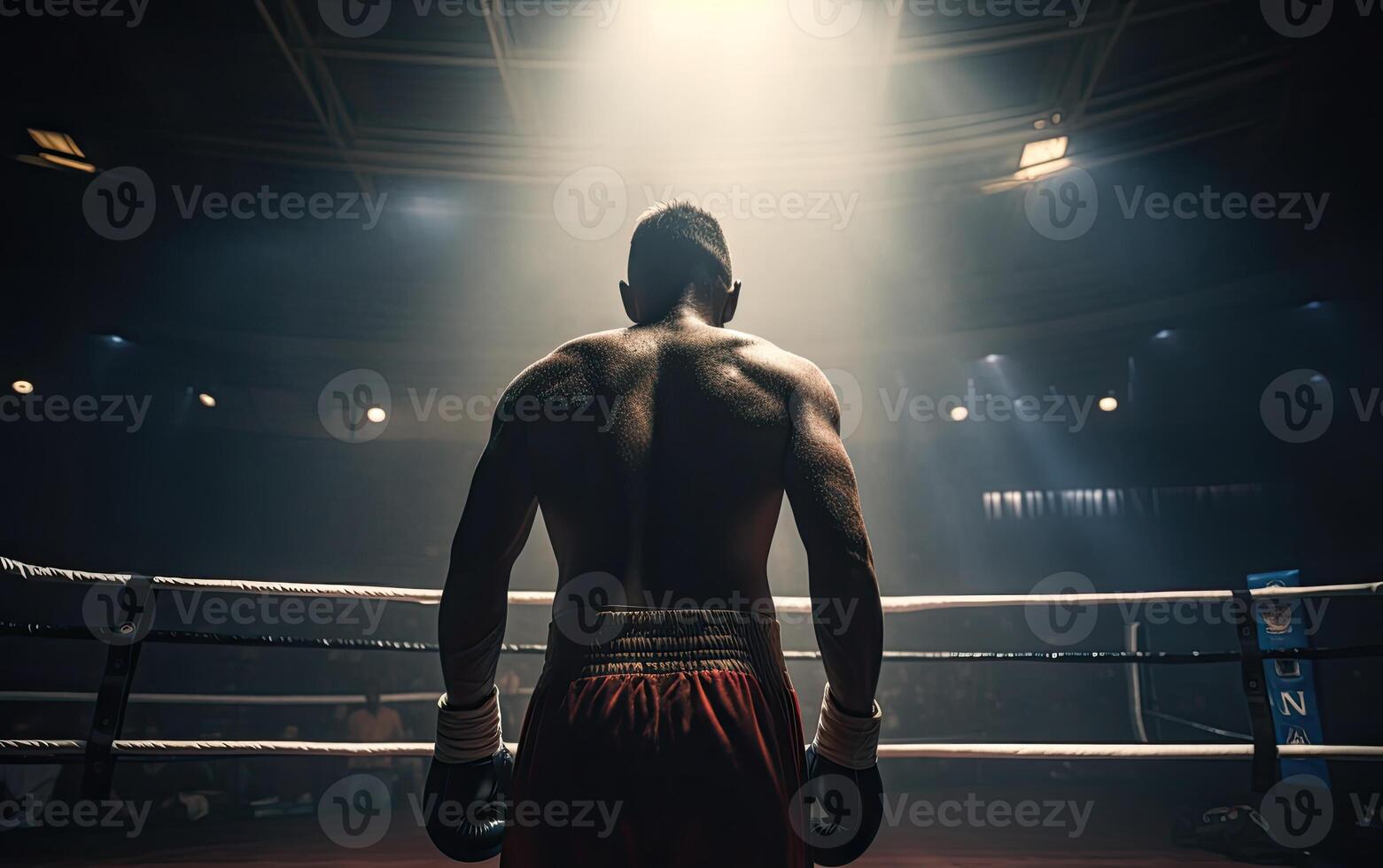 Boxing champion standing on arena. Rear view of shirtless man in boxing gloves. Muscular build concept. . photo