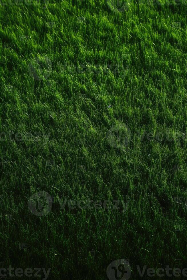 Green grass background texture. Element of design. Abstract green grass background. Green grass texture. . photo