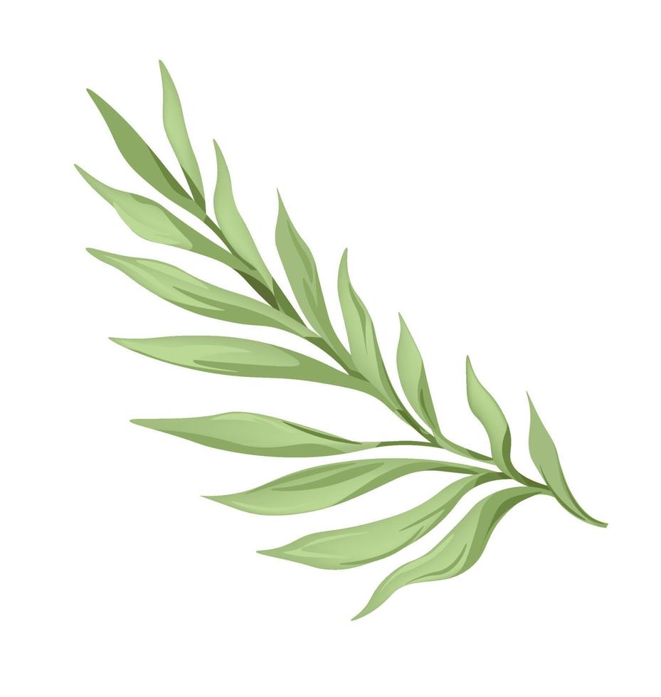 Tropical or extotic flower branch, leaves design vector