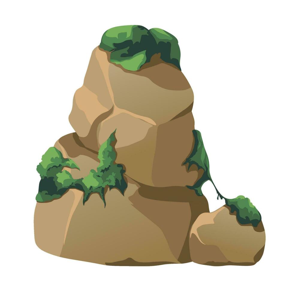 rock o Roca crecido con musgo, húmedo bosque vector