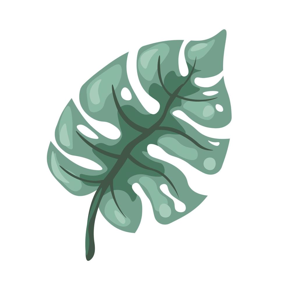 Monstera leaf, tropical and exotic foliage deccor vector