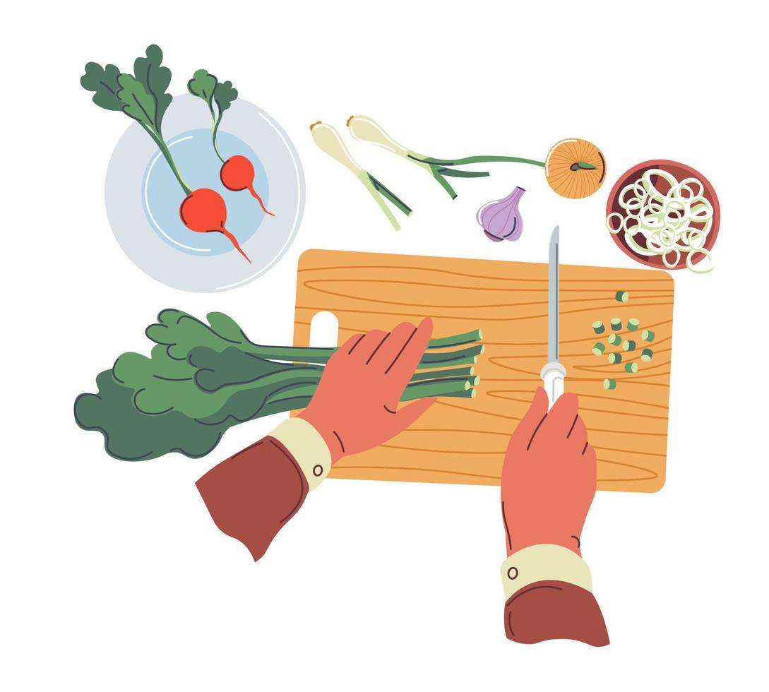 Preparing home made dishes, cutting vegetables 22908146 Vector Art at