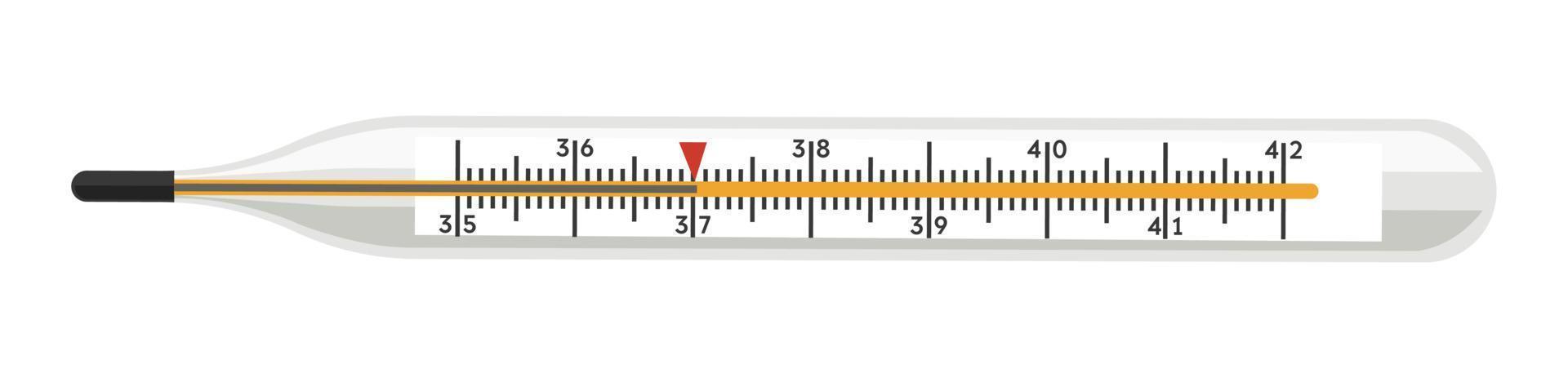 Body temperature measuring device, thermometer vector