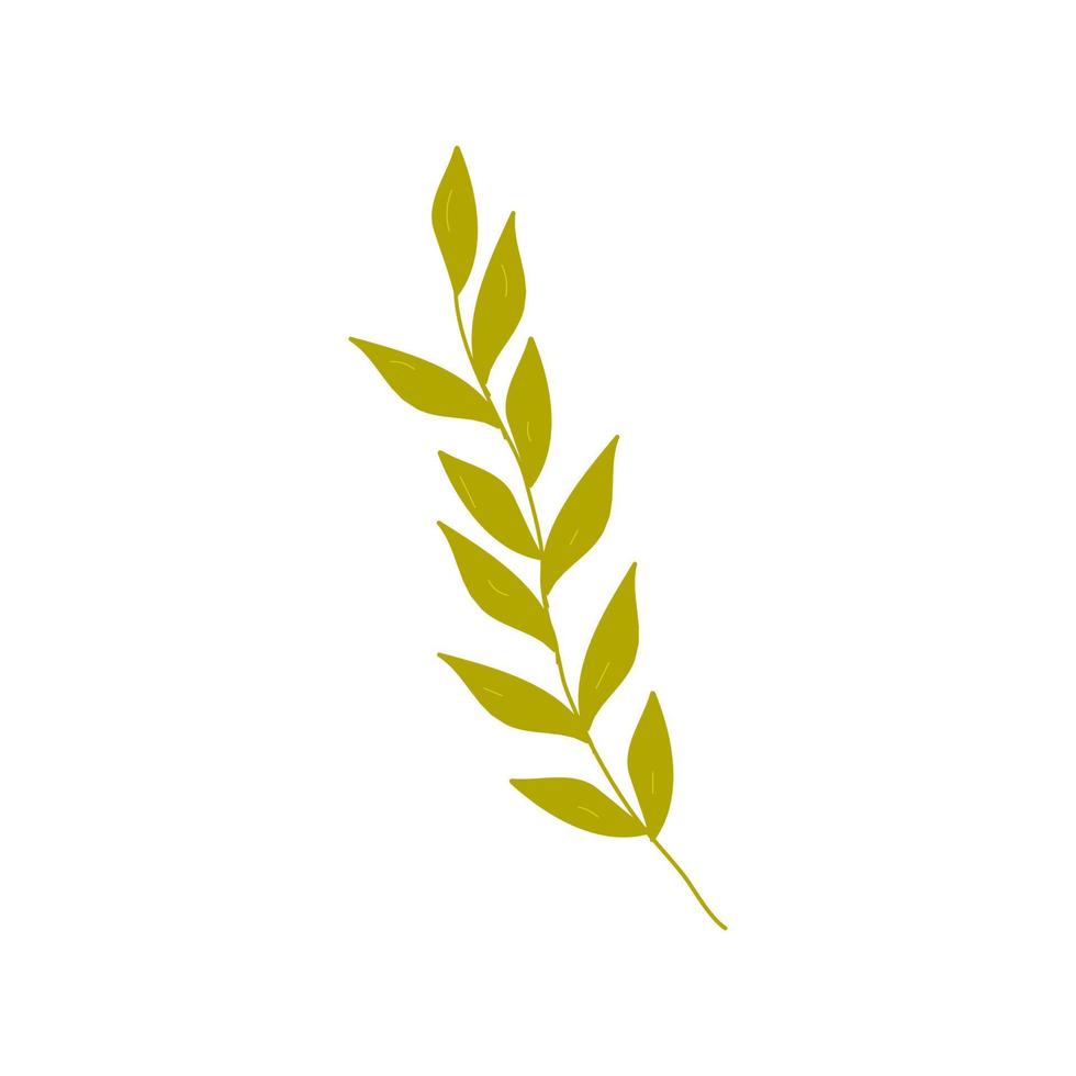 Elements of botany underwater marine plants, flora vector