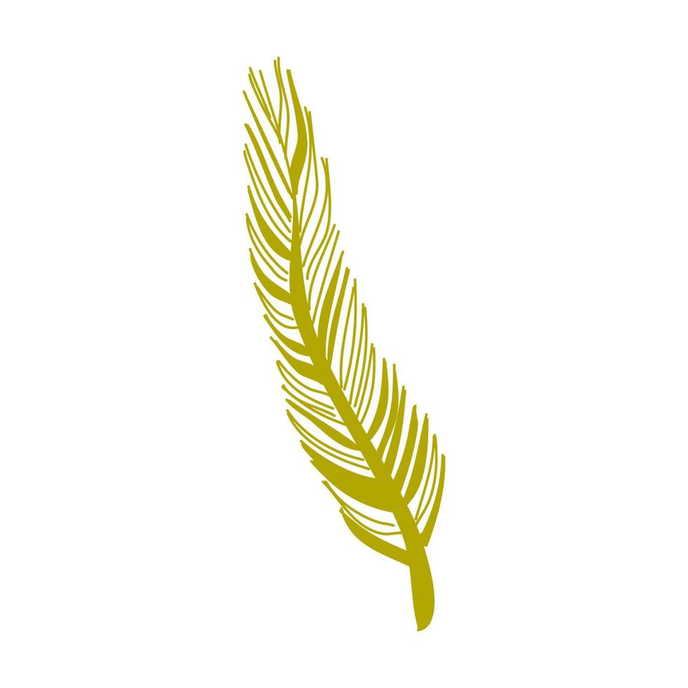 Elements of botany underwater marine plants, flora vector