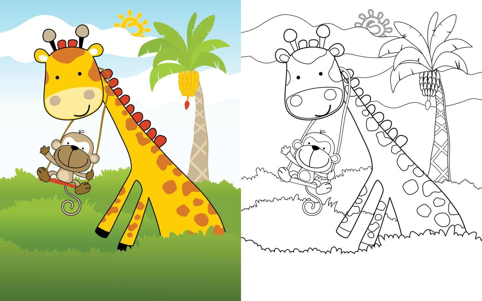 Cartoon of funny monkey swinging on giraffes neck, coloring book or page vector