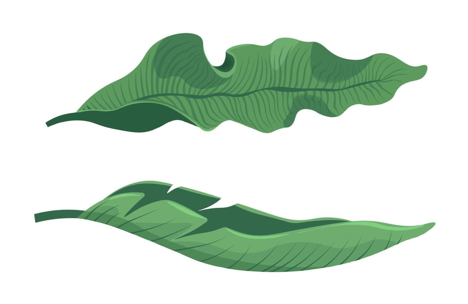 Tropical and exotic design, houseplant greenery vector