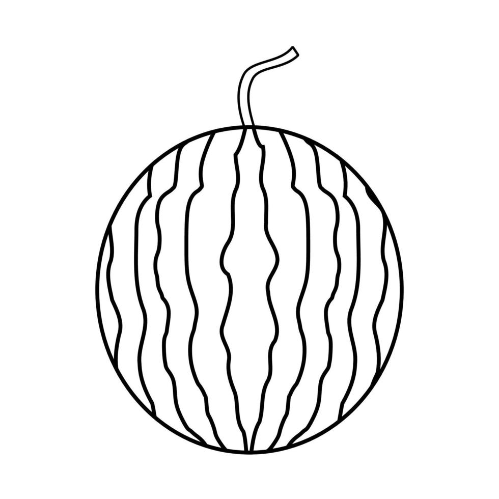 Watermelon, continuous line, line art style, minimalist, vector illustration for t-shirt, graphic design for slogan, social media.