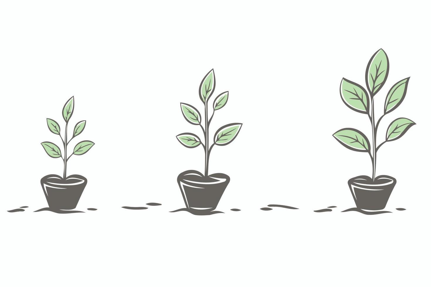 three plants growing in three pots vector