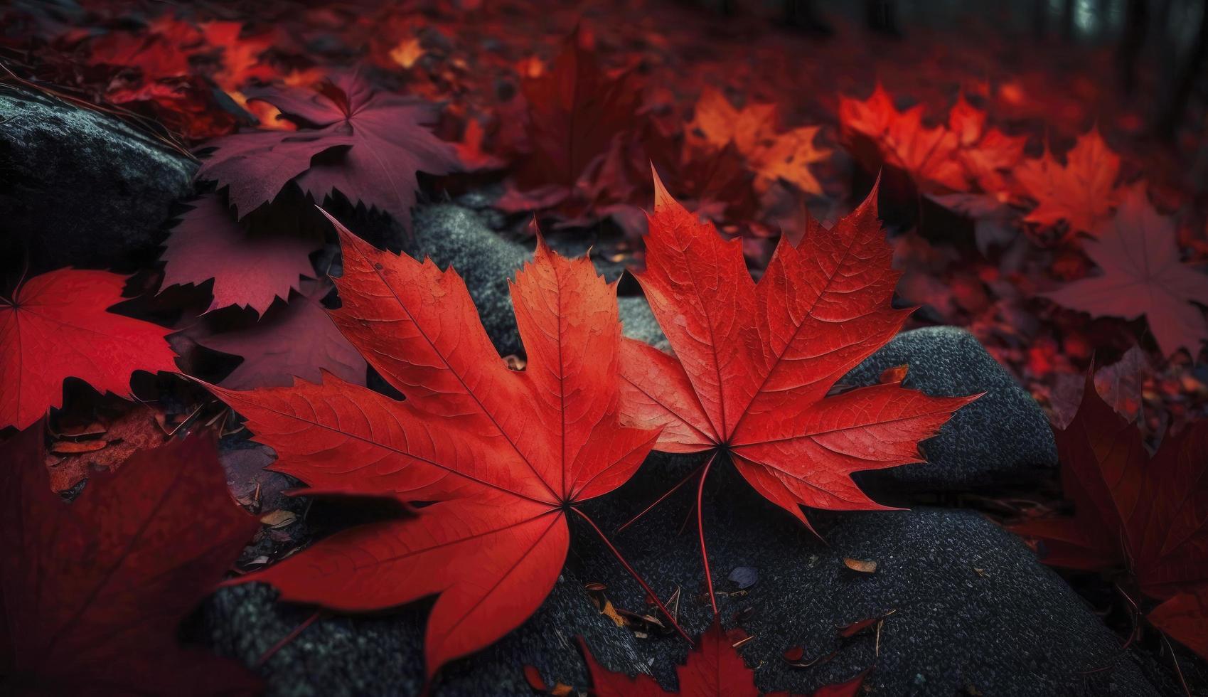 Red autumn maple leaves laying on the forest ground, Generate Ai photo