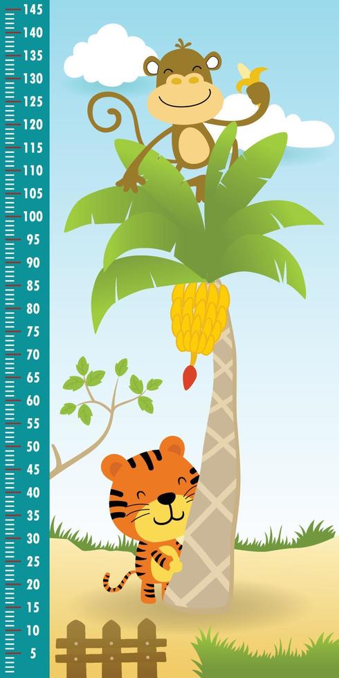 Height measurement wall of funny monkey on banana tree with tiger, vector cartoon illustration