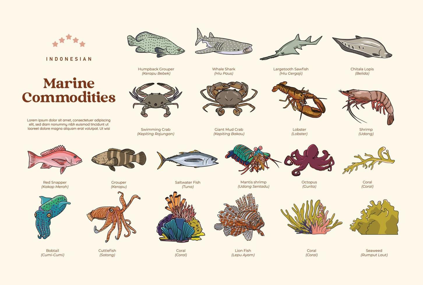 Isolated set of indonesian marine commodities hand drawn illustration vector