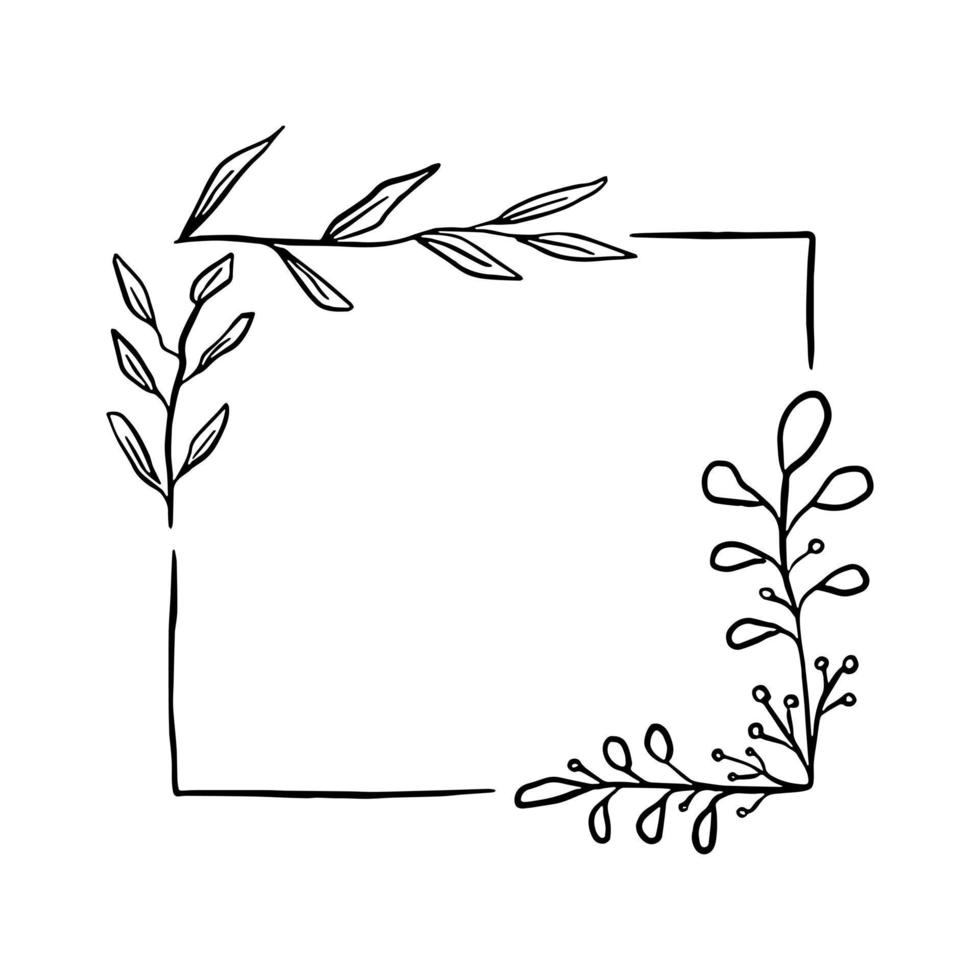 Doodle black line leaves in square. Hand drawn pointed leaves and oval leaf. Vector illustration for decorate logo, text, wedding, greeting cards and any design.