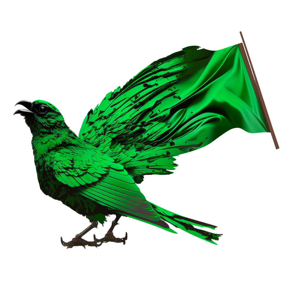 Bird Parrot Turkey vulture Green honeycreeper png