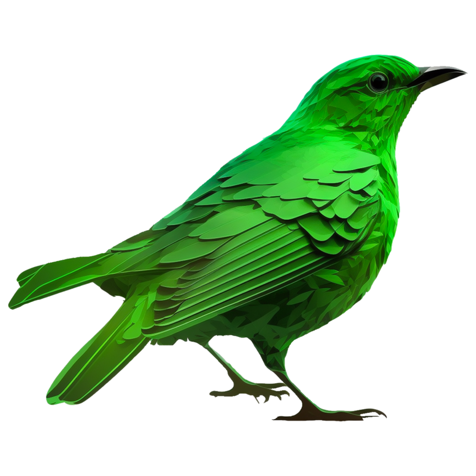 Bird Parrot Turkey vulture Green honeycreeper png