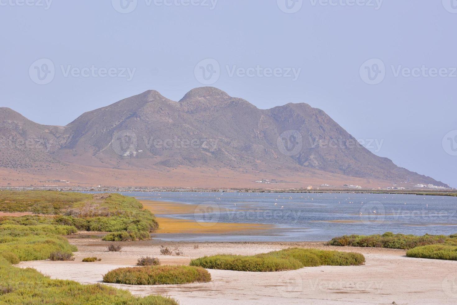 Scenic view of the shore photo
