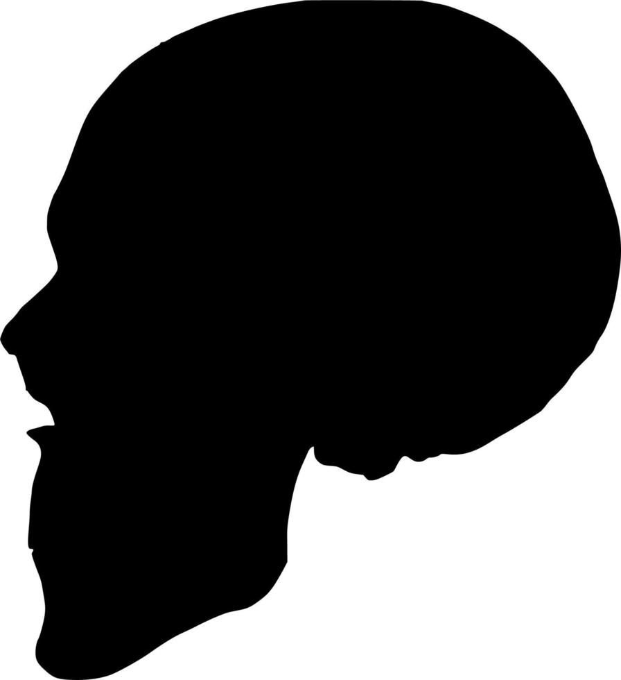 Vector silhouette of Skull on white background