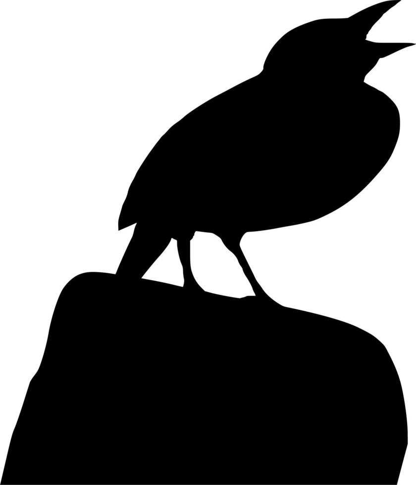 Vector silhouette of Bird on white background