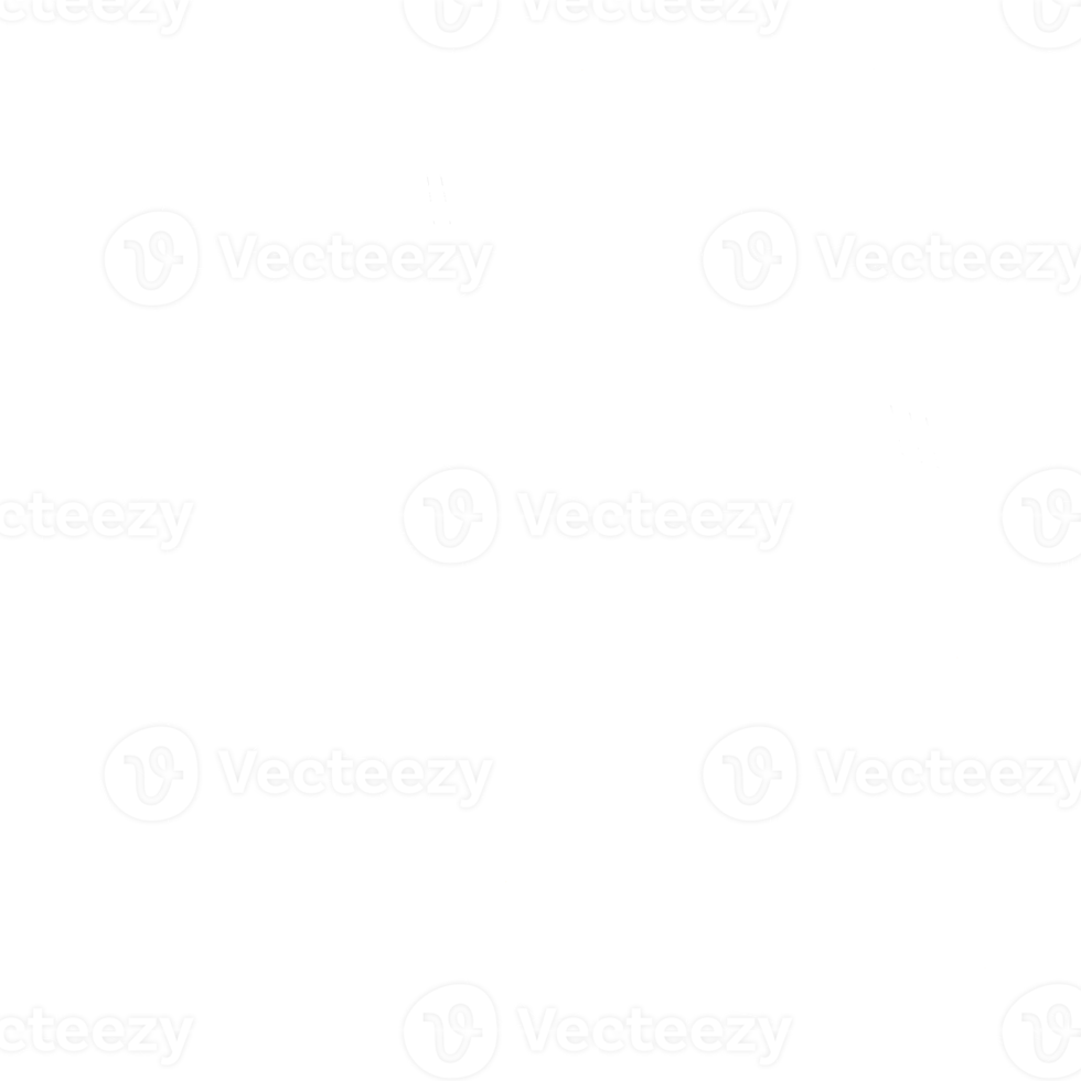 halloweens pumpa mönster png