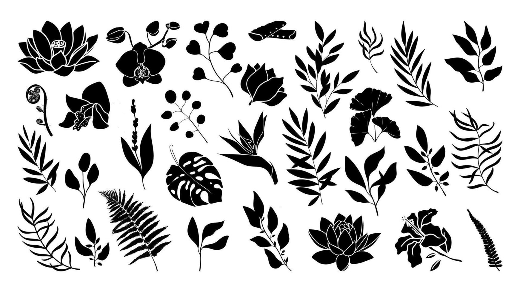Set of herbs and plants big collection of botanical silhouettes. Twigs and leaves. Floral patterns for wedding invitations and cards. vector