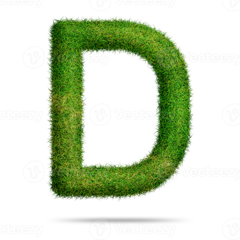 Green grass alphabet letter d for education concept png